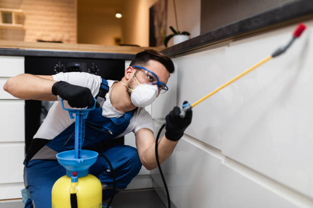 Pest Control for Restaurants in Lincolnia, VA