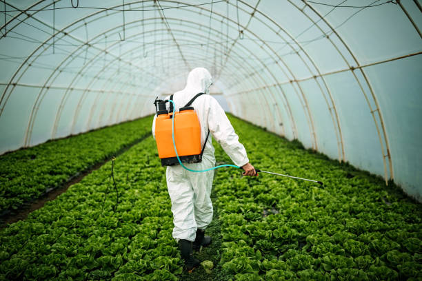 Best Affordable Pest Control Services  in Lincolnia, VA