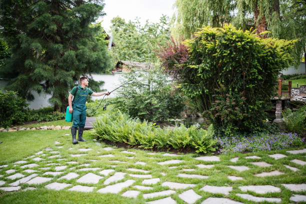 Best Ant Control Services  in Lincolnia, VA