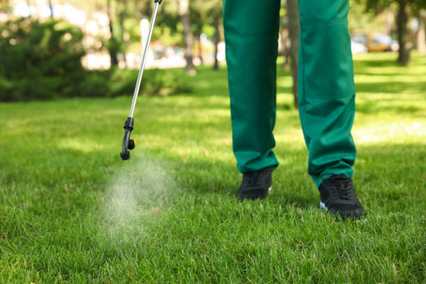 Best Flea Control Services  in Lincolnia, VA