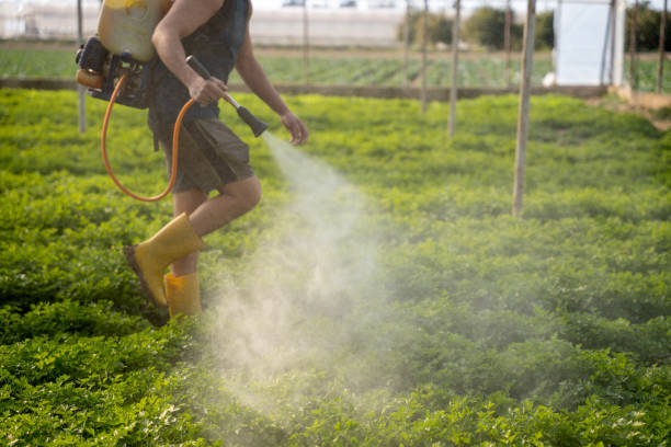 Best Pest Control for Restaurants  in Lincolnia, VA