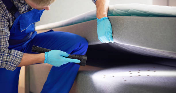 Best Pest Inspection Near Me  in Lincolnia, VA
