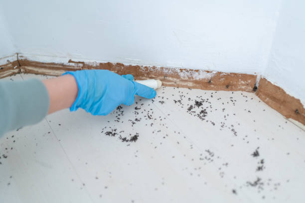 Best Commercial Pest Control Services  in Lincolnia, VA