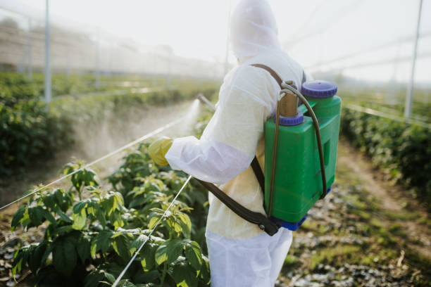 Best Pest Control Near Me  in Lincolnia, VA